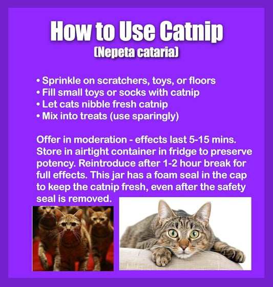 Catnip Blend - North American Crafted, 100% Natural, and Non-Addictive Catnip Treats for Enhanced Playfulness. Ideal for Complementing Catnip Toys (4 Cups) (32 oz)