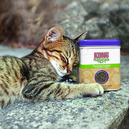 KONG - Naturals Premium Catnip - Premium North American Grown - 2 Ounce (2 Pack)