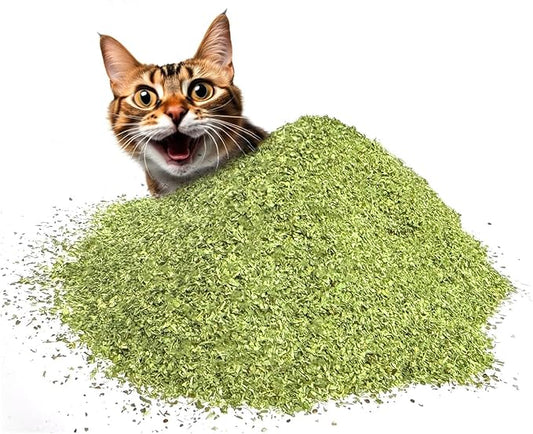 Fiend Three (3 Count) Catnip Safety-Cut 100% Pure Potent Fine Cat Nip for Cats & Kittens – Bulk Refill Rescue Pack 1⅛ Cup (38g) – Ultra Potent, North American – Go Ahead, Create a Monster!